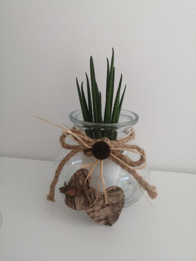 Apartma Pinea Portorož Eksteriør bilde